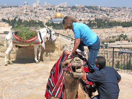 Mounting a camel on the Mount of Olives