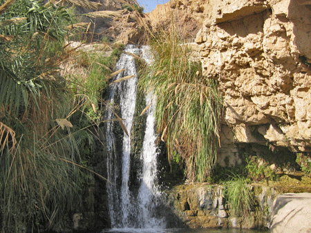 David's waterfall at the En Gedi oasis