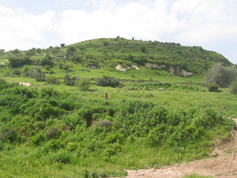 View of Tel es-Safi, biblical Gath