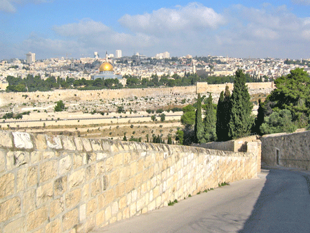 Traditional Palm Sunday Road on the Mount of Olives