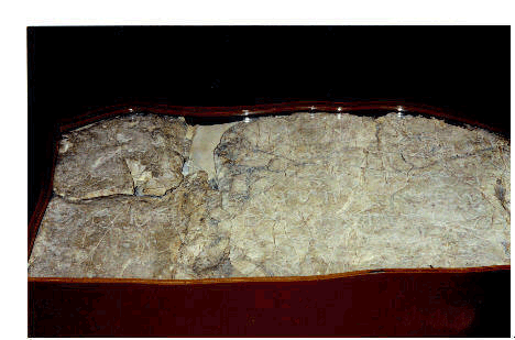 Siloam Inscription found near the end of Hezekiah's Tunnel