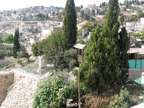 Location of David's Jerusalem palace Location of David's Jerusalem palace