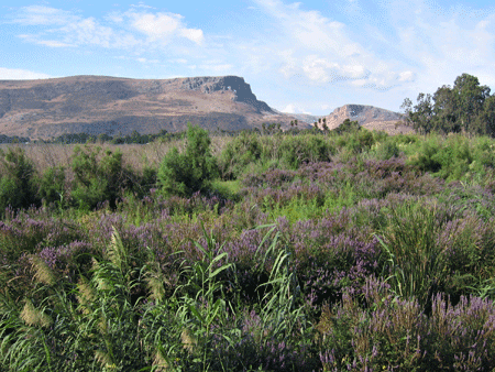 Mount Arbel as seen from the Sea of Galilee