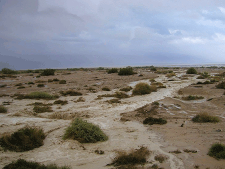 Flash flood in the Judean wilderness