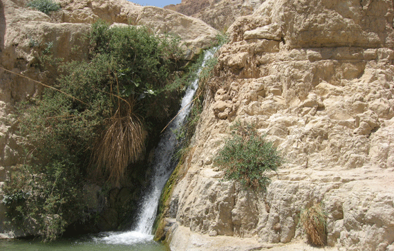 Waterfall at En Gedi oasis