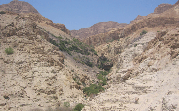 Oasis of En Gedi above the western shore of the Dead Sea
