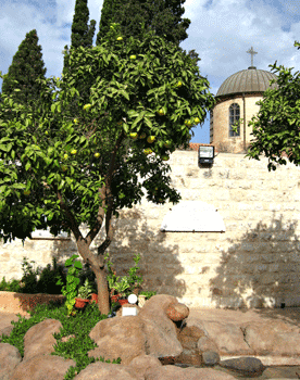 View from the courtyard of the Cana Wedding Church View from the courtyard of the Cana Wedding Church