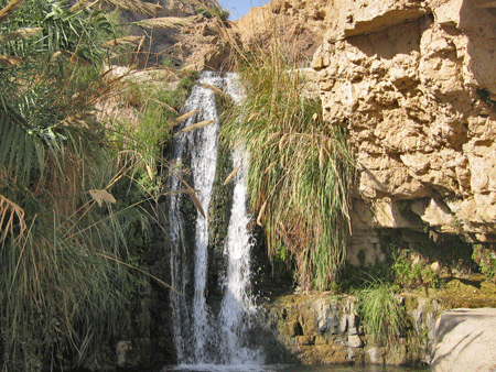 David's waterfall at the En Gedi oasis David's waterfall at the En Gedi oasis