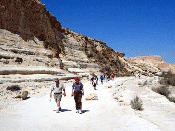 Let's wander in the wilderness of Zin where Miriam died Let's wander in the wilderness of Zin where Miriam died