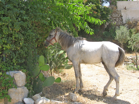 Pastoral scene from the Valley of Gehenna Pastoral scene from the Valley of Gehenna