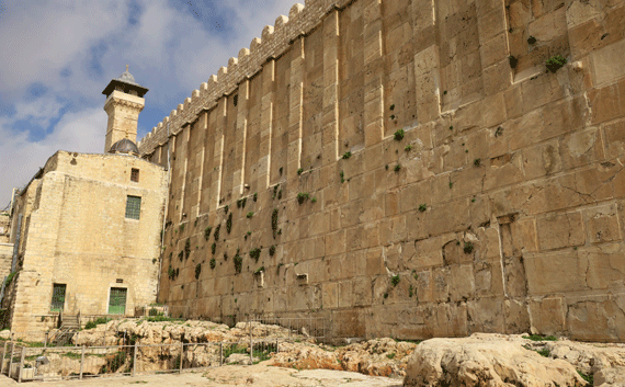 Herod the Great enclosed the Tomb of the Patriarchs and Matriarchs Herod the Great enclosed the Tomb of the Patriarchs and Matriarchs