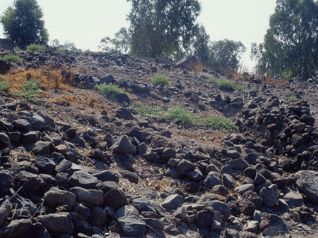 Tel Bethsaida before the excavation Tel Bethsaida before the excavation