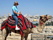 Have you mounted a camel on the Mount of Olives? Have you mounted a camel on the Mount of Olives?