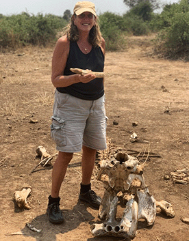 Gila is holding a hippopotamus incisor tooth Gila is holding a hippopotamus incisor tooth