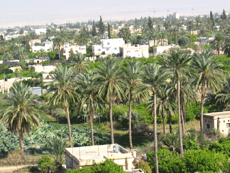 Jericho was known as the city of the date palms (Deut 34)
