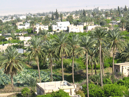 Jericho was known as the city of the date palms (Deut 34) Jericho was known as the city of the date palms (Deut 34)