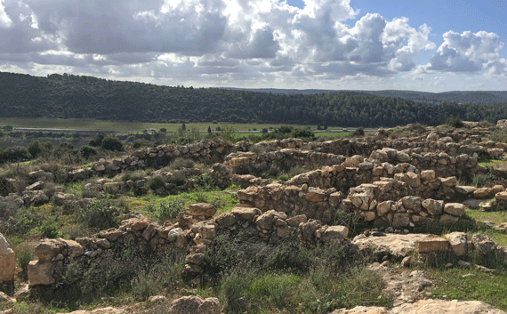 The Elah Valley is the grassy area beyond the ruins of Shaaraim The Elah Valley is the grassy area beyond the ruins of Shaaraim