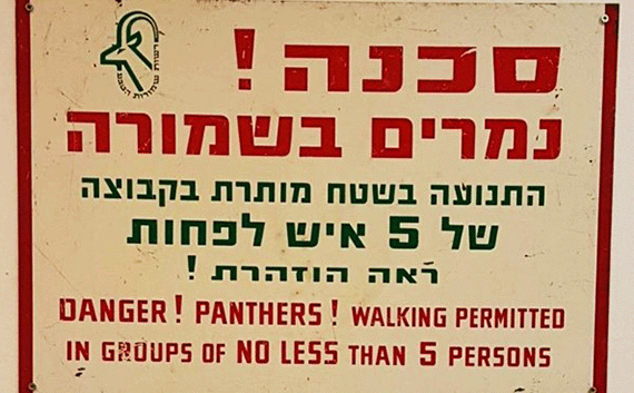 Warning sign with a mistranslation of Namer which means leopard, panther or tiger Warning sign with a mistranslation of Namer which means leopard, panther or tiger