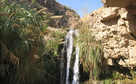 Oasis of En Gedi where David found refuge with his band of outlaws Oasis of En Gedi where David found refuge with his band of outlaws