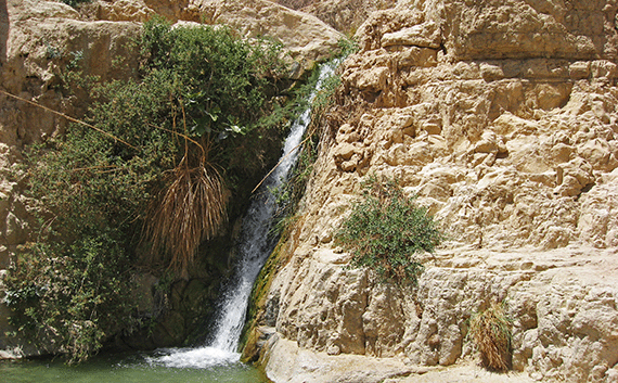 A good ambush place for a leopard at En Gedi could be to the left of the waterfall A good ambush place for a leopard at En Gedi could be to the left of the waterfall