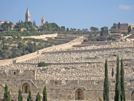 View of the Mount of Olives View of the Mount of Olives