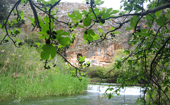 Spring Scene at Paneas --  Caesarea Philippi