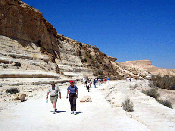 Wilderness of Zin