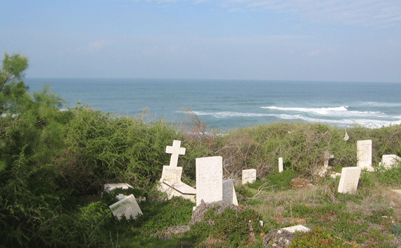 View from Bishop Pike's grave in Jaffa