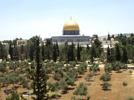View of the Temple Mount from the Antonia Fort View of the Temple Mount from the Antonia Fort