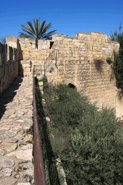 From Jaffa to New Gate