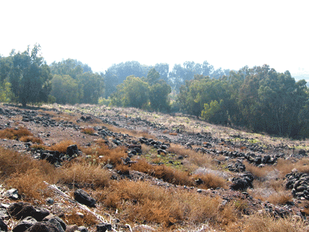 southern part of Tel Bethsaida