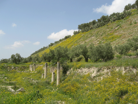 Ancient city of Samaria as it looks in 2014 Ancient city of Samaria as it looks in 2014