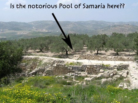 Is the Pool of Samaria to be located in the olive grove Is the Pool of Samaria to be located in the olive grove