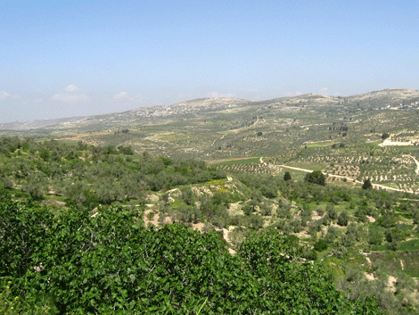 Naaman could have met Elisha's servant Gehazi in this valley below Samaria Naaman could have met Elisha's servant Gehazi in this valley below Samaria