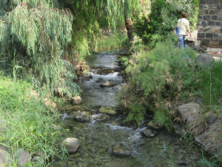 Tabgha is named for 7 springs Tabgha is named for 7 springs