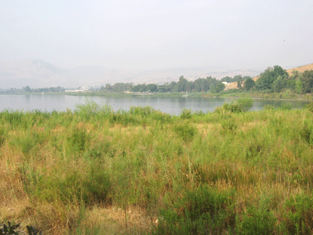 Tabgha area by the Sea of Galilee Tabgha area by the Sea of Galilee