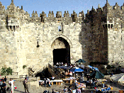 Orientation to the Old City | Nine Gates in Hebrew, English and Arabic