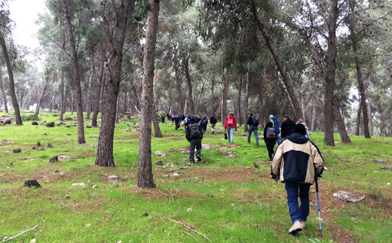 A moderate fifteen minute hike takes you to the first excavated area at Khirbet a-Ra'i A moderate fifteen minute hike takes you to the first excavated area at Khirbet a-Ra'i
